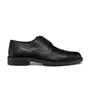 Geox Oxford Schuhe image