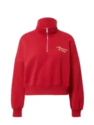 Abercrombie & Fitch Sweatshirt beige / rot / schwarz
