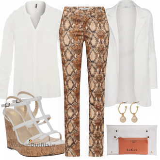 Outfit met bruin Brax "Only Blouse"