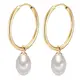Valero Pearls Creolen goldgelb