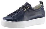 Damenbekleidung Hellblau Paul Green image