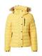 Superdry Winterjas  geel / zwart / beige