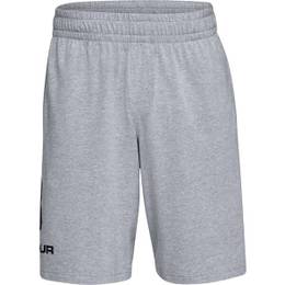 Men's shorts COTTON BIG LOGO SHORTS gray XXL