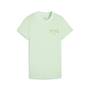 Puma T Shirts image