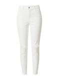 Skinny rifle Hollister image