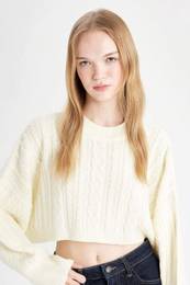 Cool Regular Fit Crop Crew Neck Hair Knitted Sweater