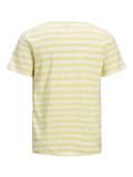 ONLY Carmakoma T-Shirts und Tops image