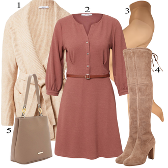 Outfit s Hnědá Šaty Móda Pro Plnoštíhlou/Košilové šaty/Šaty s výstřihem About You "Podzimní Outfit"