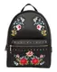 ALDO Rucksack Dare mischfarben / schwarz