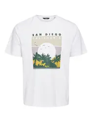 Only & Sons T-Shirt ''''Anthony'''' weiß / mischfarben