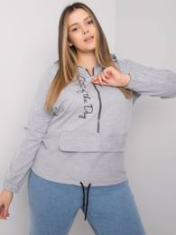 Sweatshirt-RV-BL-7179.27-gray