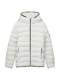 Argent Vestes d'Hiver pour Femme image