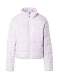 Vestes d'Hiver The North Face image