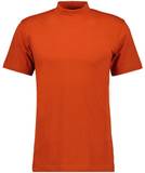 Orangene Rollkragenshirts image