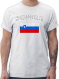 Silberne Longshirts image